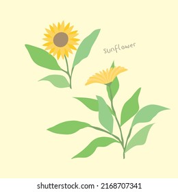 Beautiful tropical yellow sunflower ilustration