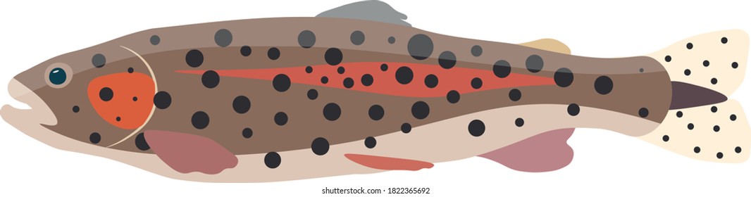 A beautiful trout fish made in a simple flat design style. Work in eps10.