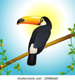 Beautiful tucan, vector