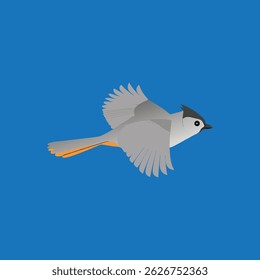 Beautiful Tufted Titmouse bird flying gracefully in the sky, captured in a detailed vector illustration perfect for nature-themed digital projects.
