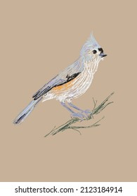Hermoso tiburón trenzado a mano en vector y aislado en un fondo de artesanía vintage. Una auténtica imitación de un boceto de lápiz de color en un estilo realista, una página de un cuaderno de bocetos para observar aves