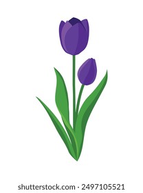 Beautiful tulip flower drawing art cartoon vector symbol design image