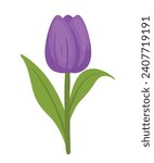 Beautiful tulip flower drawing icon clip art cartoon vector symbol design image