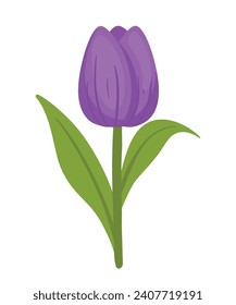 Beautiful tulip flower drawing icon clip art cartoon vector symbol design image