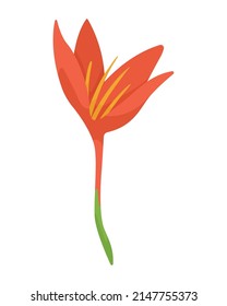 beautiful tulip flower garden icon