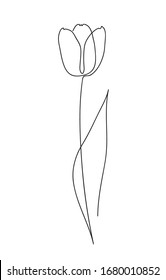 Beautiful Tulip Flower Line Art Concept Stock Vector (Royalty Free ...
