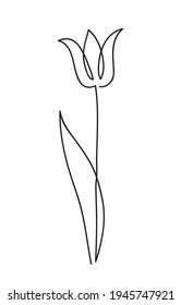 Beautiful tulip flower. Line art concept design. Continuous line drawing. Stylized flower symbol. Vector illustration