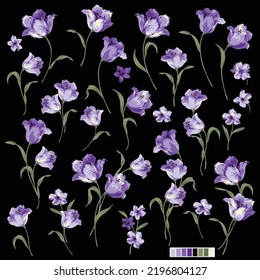 Beautiful tulip flower material collection,