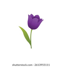 beautiful tulip flower vector logo design