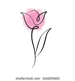 beautiful tulip line vector ILLUSTRATION