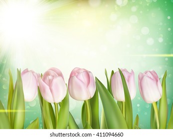 Beautiful tulips background. EPS 10 vector file included