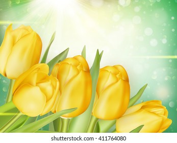 Beautiful tulips background. EPS 10 vector 