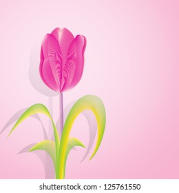 Beautiful tulips, vector illustration