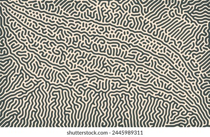 Beautiful turing reaction diffusion pattern with abstract motion. Vector illustration of chemical morphogenesis Curvy doodle.