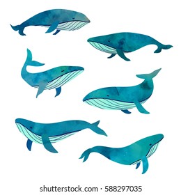 Beautiful turquoise six whales set.