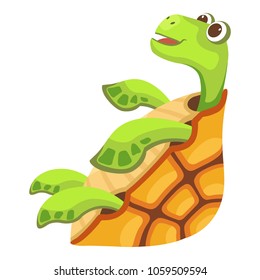 Beautiful turtle icon. Cartoon illustration of beautiful turtle vector icon for web