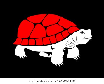 Beautiful Turtle isolated on black background - vector illustration 