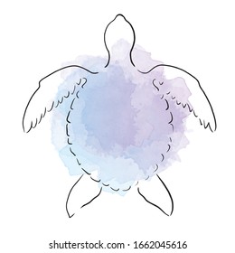 beautiful turtle line vector ILLUSTRATION