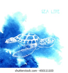 Beautiful turtle with a watercolor effect. Sea turtle. Advertising poster.. vector Sea life.