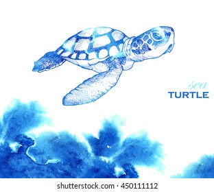 Beautiful turtle with a watercolor effect. Sea turtle. Advertising poster.. vector illustration of stylized turtle in watercolor technique in green, blue and violet colors