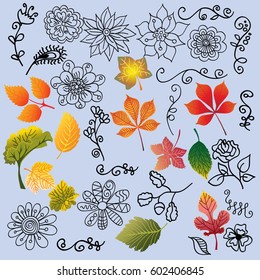 beautiful twigs, leaves and flowers, footprints, on a blue background