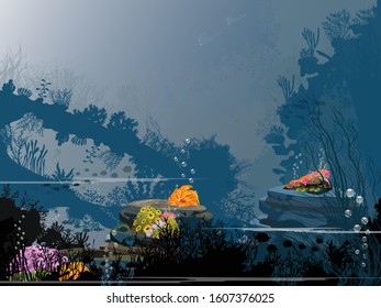 Beautiful underwater scene vector sea with coral reef. The shadow of the seabed with algae and coral. Really hand drawn ocean background. Summer - Sea - Rocky Mountain - Sea.
