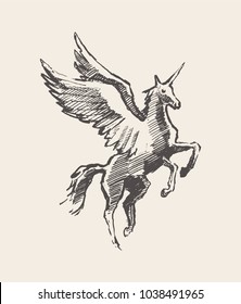 Beautiful unicorn with wings, hand drawn vector illustration, sketch