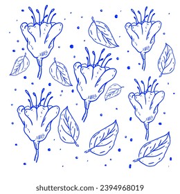 Beautiful and unique flowers. Drawn by hand. Stylish line art pen ink. Isolated vector illustration
