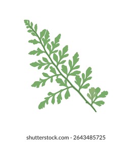 Beautiful unique leaf designs inspired by plants that grow in tropical areas.