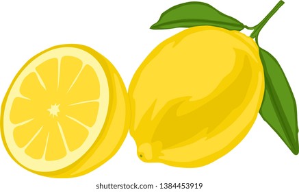 Beautiful and unique lemon art vector