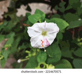 Hermosa y única flor blanca ilustración vectorial de flores patrón de acuarela