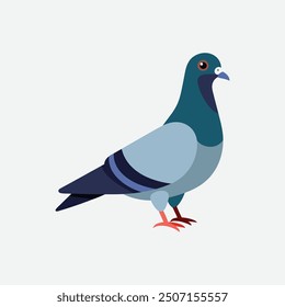  Beautiful Urban Pigeon vector artwork