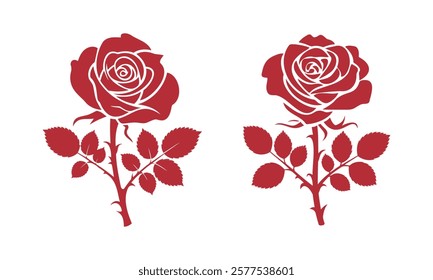 Beautiful valentine Red Rose Silhouette Pair with White Background