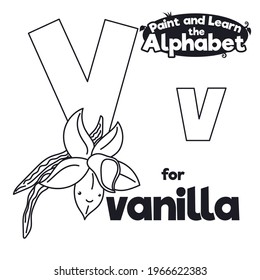 Beautiful vanilla flower and dried fruits, ready to be colored during didactic alphabet learning of letter V.