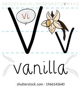 Hermosa orquídea de vainilla y deliciosa fruta con judías, lista para su lección de gramática de la letra 'V' y pronunciación en inglés.