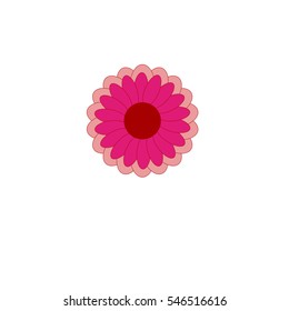 The beautiful variety of flowers on different backgrounds.