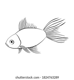 Beautiful vector with abstract fish on a white background.