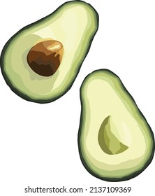 Beautiful vector art green tasty avocado.