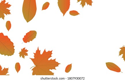 The beautiful vector autumn background with orange leaves