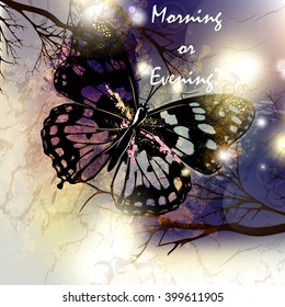 Beautiful vector background or illustration with butterfly  and sky grunge style
