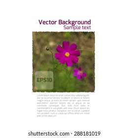 Beautiful vector background in vintage style with flowers.