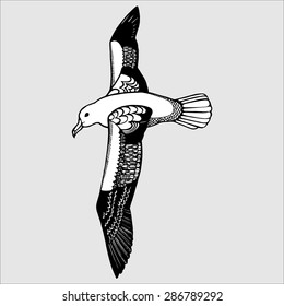 Beautiful vector black and white flying seagull with huge wings, soaring in the sky, isolated. 