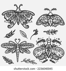 Beautiful vector boho illustration of a butterflies,  dragonflies and moths in a bohemian, mystical retro style, hand drawn