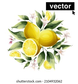 Beautiful vector bouquet with watercolor yellow lemon fruits, leaves and flowers. Perfect for background for greetings, birthdays, mothers day cards.