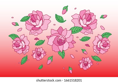 beautiful vector of camellias in pink