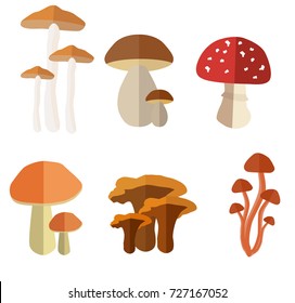 A beautiful vector cartoon set of an autumn mushrooms. Each one is isolated so you can use just one of them.