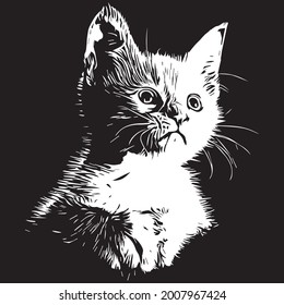 Beautiful vector cat with black background