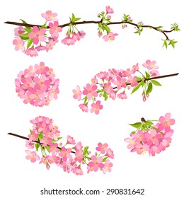 Schöne Vektor Kirschblüten Zweige. Frühling, Blumen, Rosa, Schönheit.