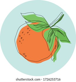 schöne Vektorfarbe Illustrationen Orangenmandarin mit Samen und Blättern