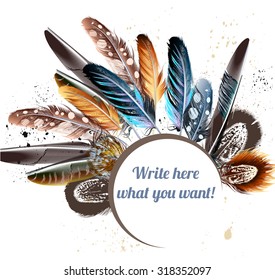 Beautiful vector colorful feathers and banner for text. Realistic feathers for your design